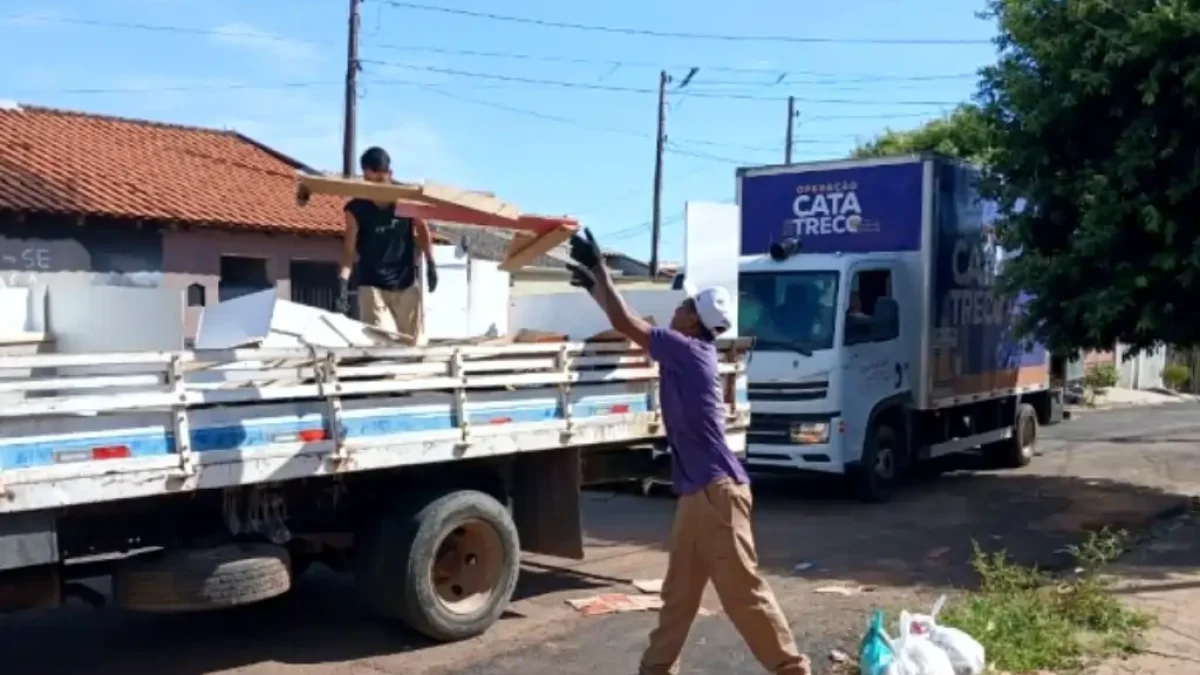 Divulgação