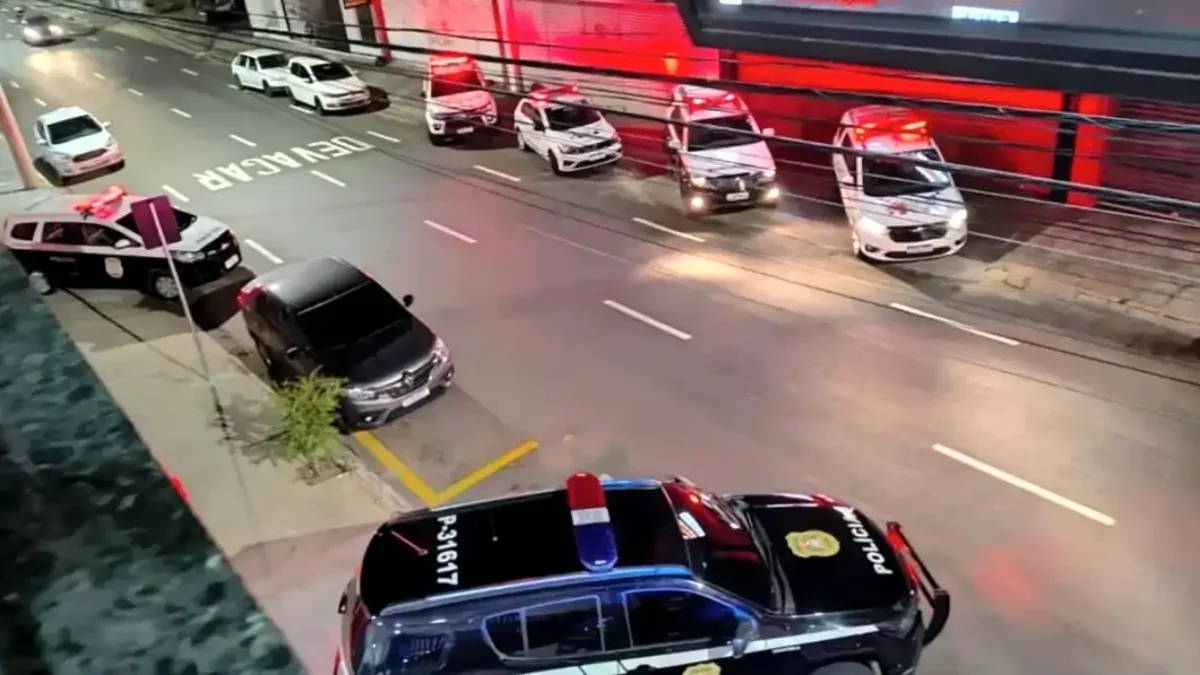 Divulgação