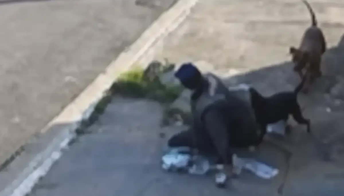 Reprodução/Câmera de Segurança