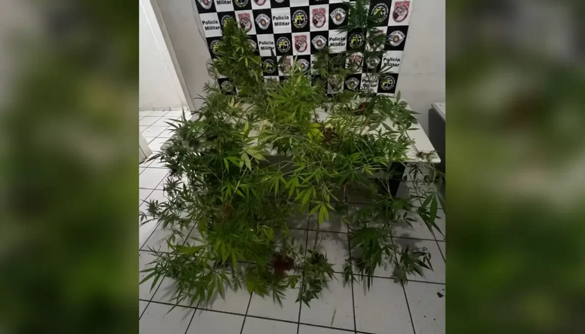 Divulgação/Polícia Militar