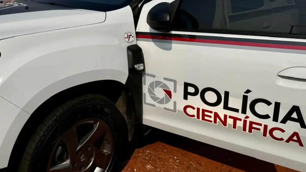 Divulgação