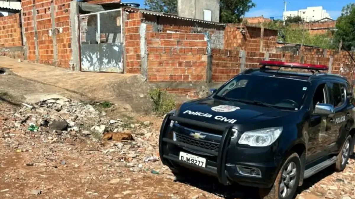 Foto: Divulgação/Polícia Civil