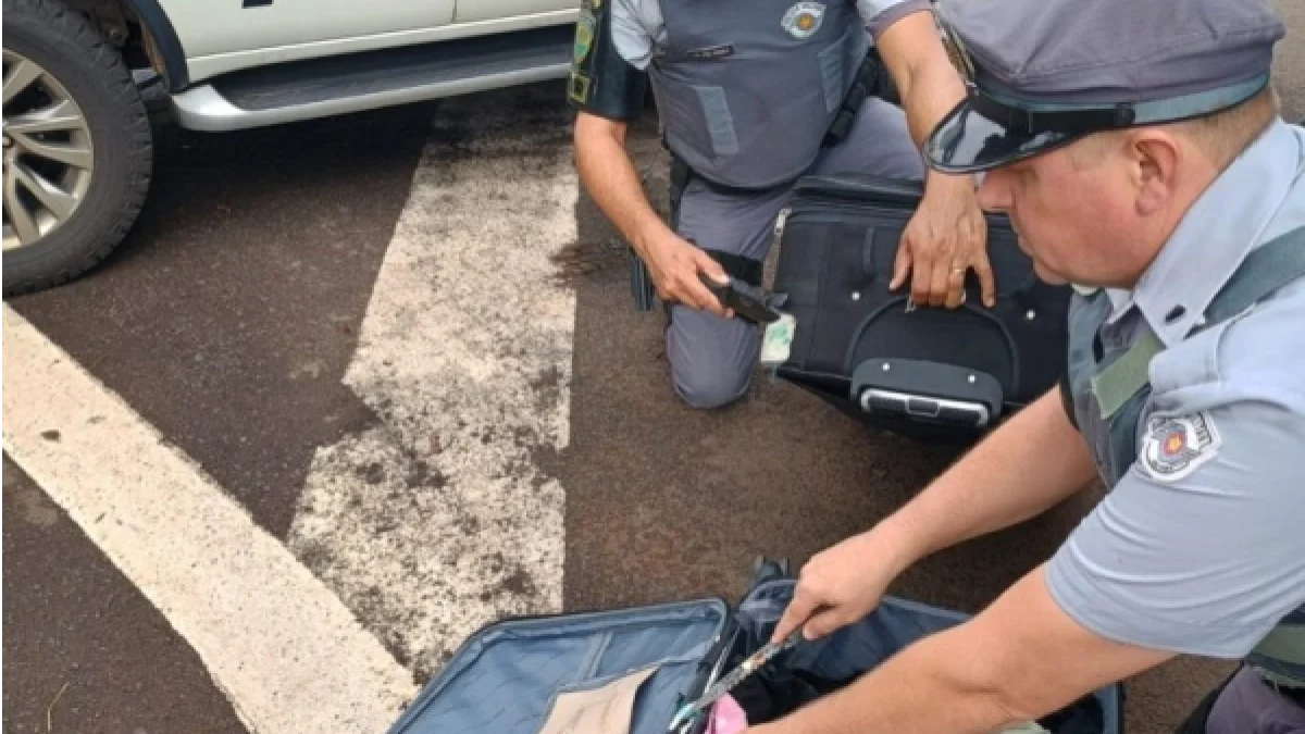 Foto: Divulgação/Polícia Militar Rodoviária