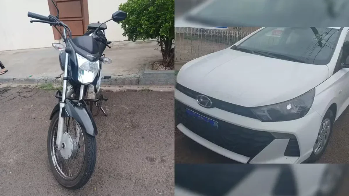 Foto: Polícia Civil/Divulgação