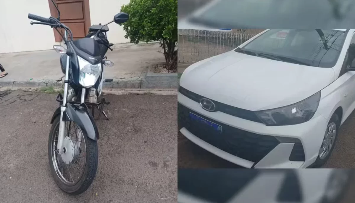 Foto: Polícia Civil/Divulgação