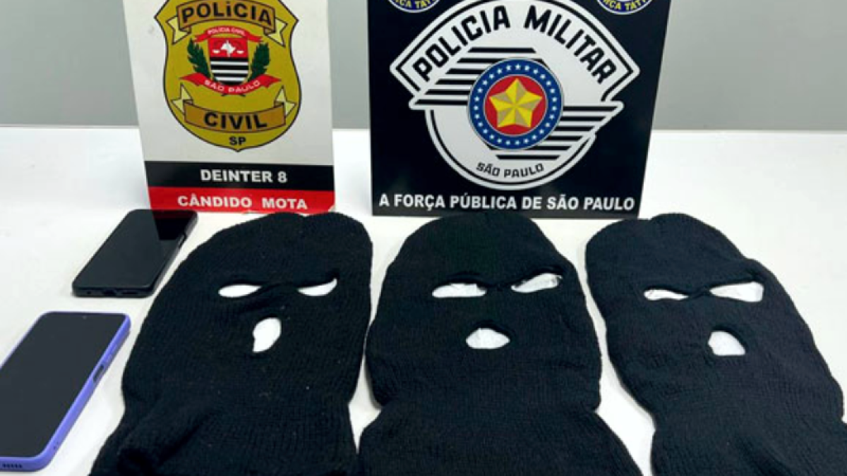Foto: Divulgação/Polícia Civil