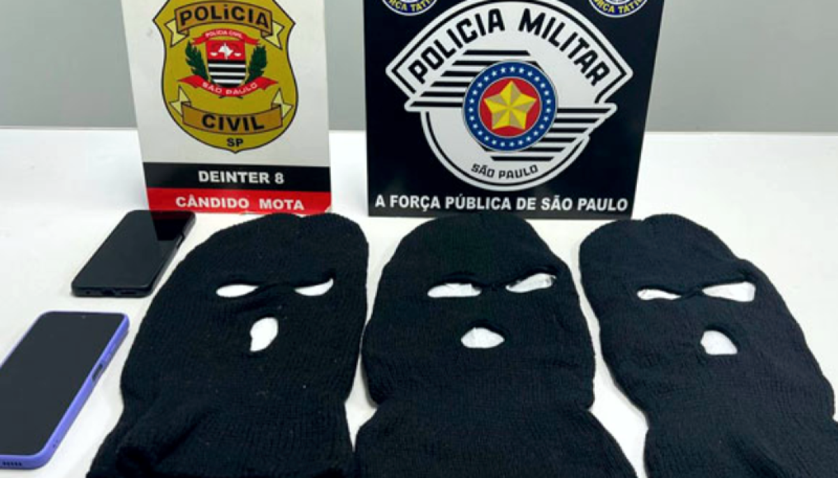 Foto: Divulgação/Polícia Civil