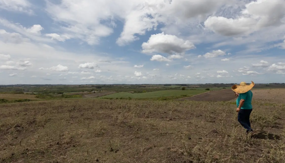 Fábio Pozzebom/Agência Brasil