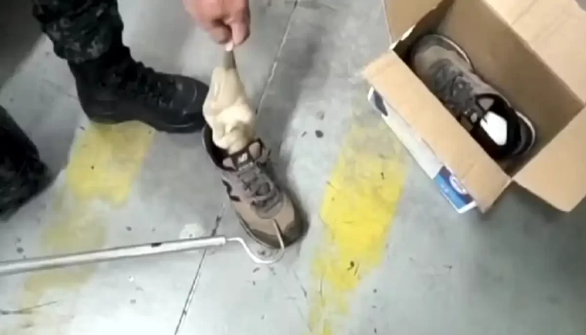 Divulgação/Polícia Ambiental