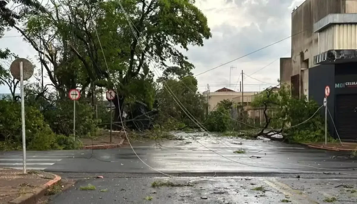 Reprodução/Em Dia Com a Notícia