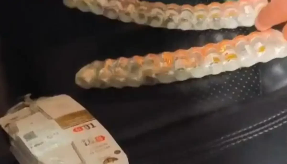 Divulgação/Polícia Rodoviária Federal