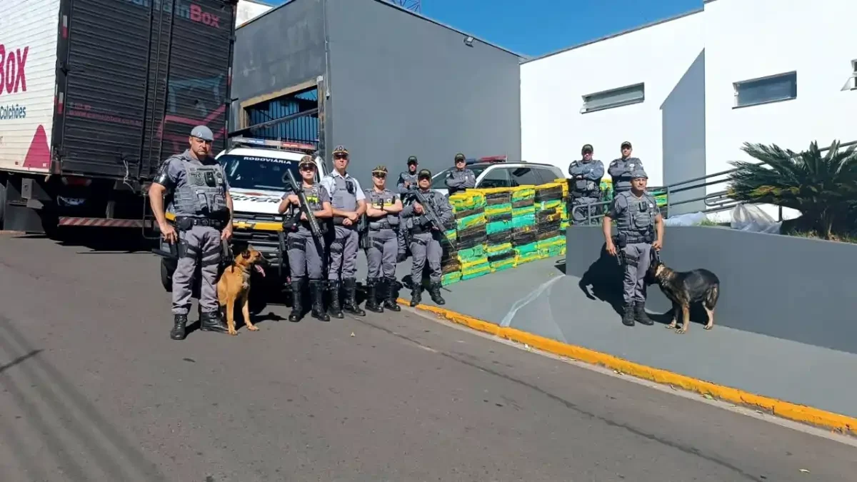 Divulgação/Polícia Militar Rodoviária