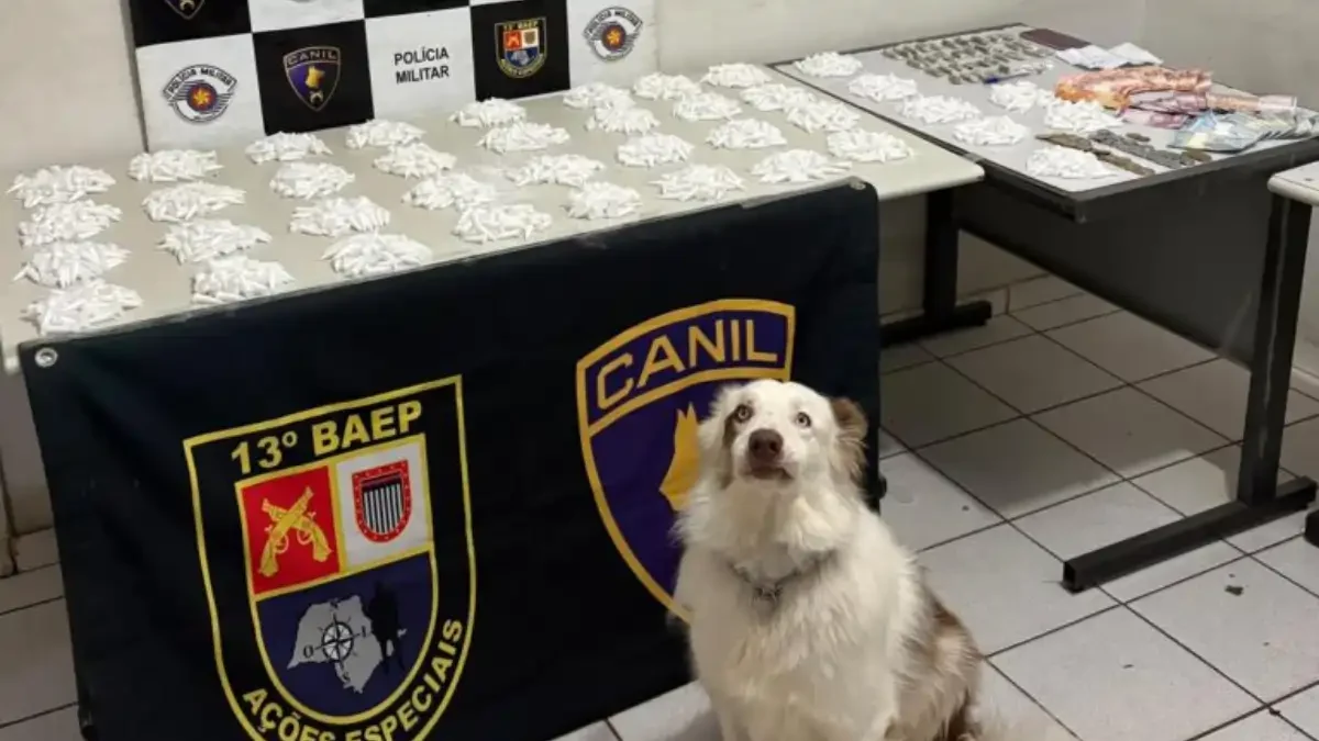 Divulgação/Polícia Militar