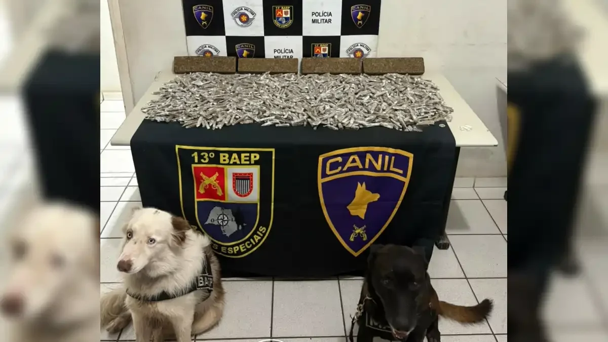 Divulgação/Polícia Militar
