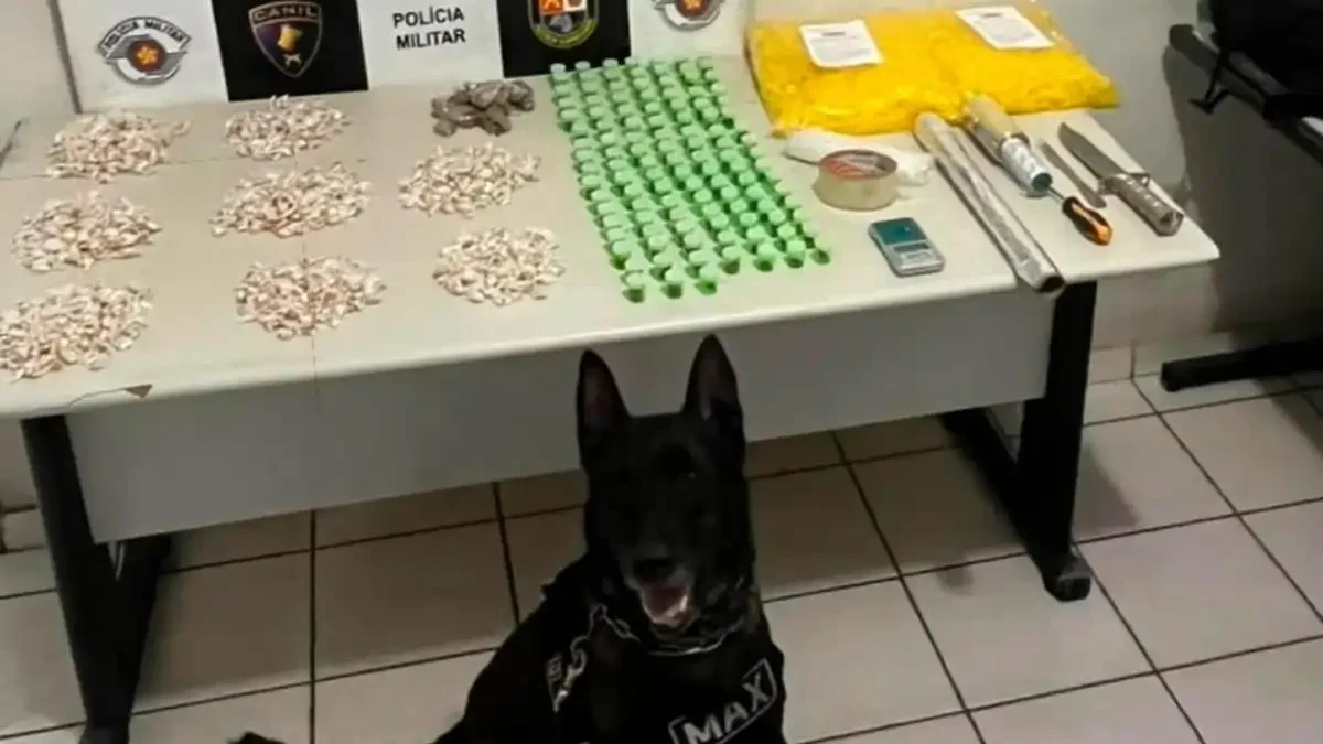 Divulgação/Polícia Militar