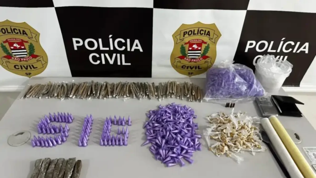 Divulgação/Polícia Civil