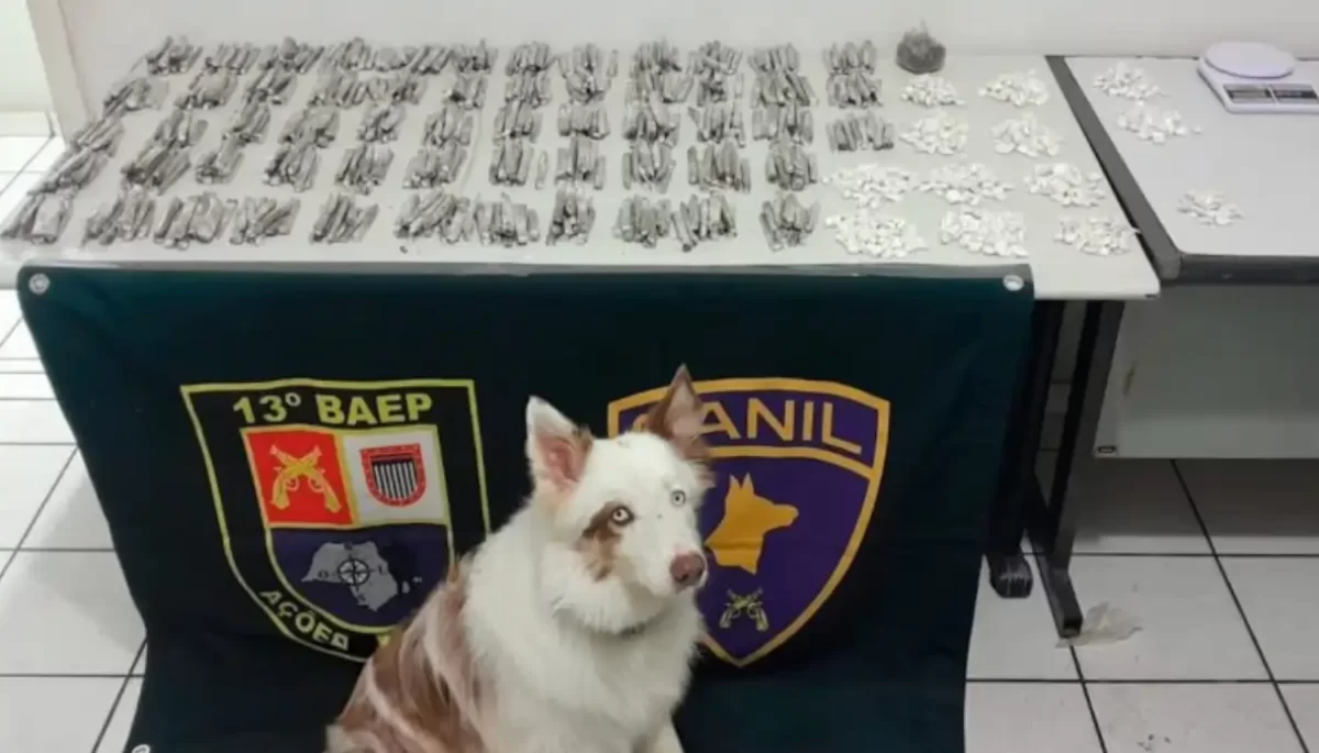 Divulgação/Polícia Militar