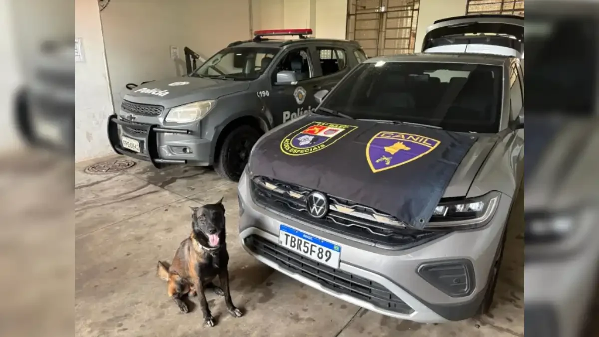 Divulgação/Polícia Militar