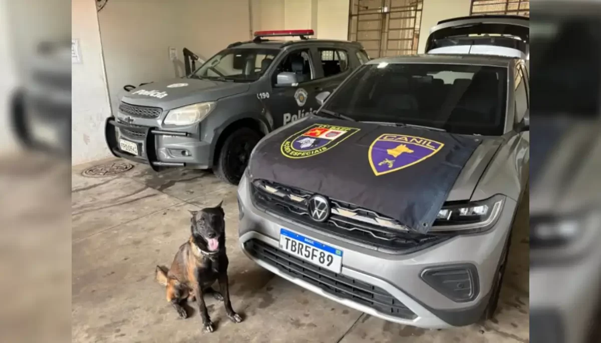 Divulgação/Polícia Militar