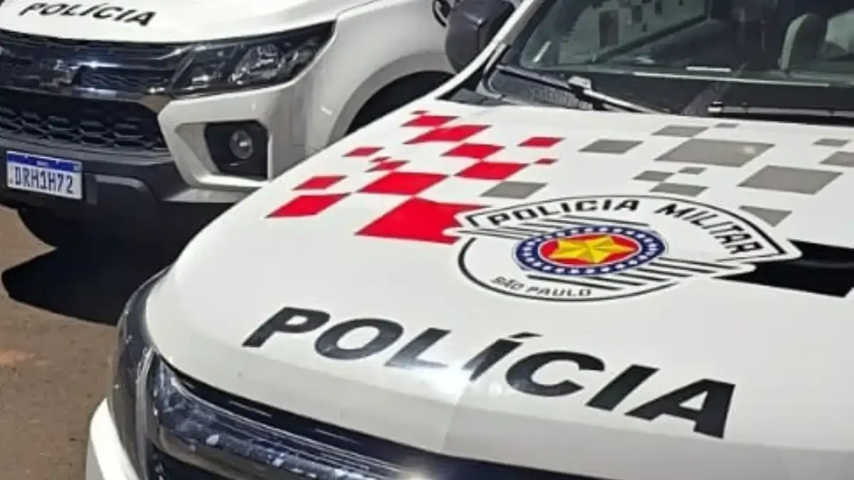 Divulgação