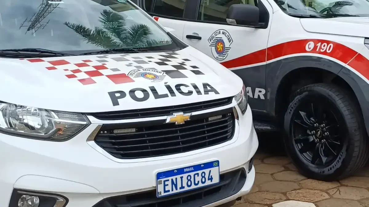 Divulgação