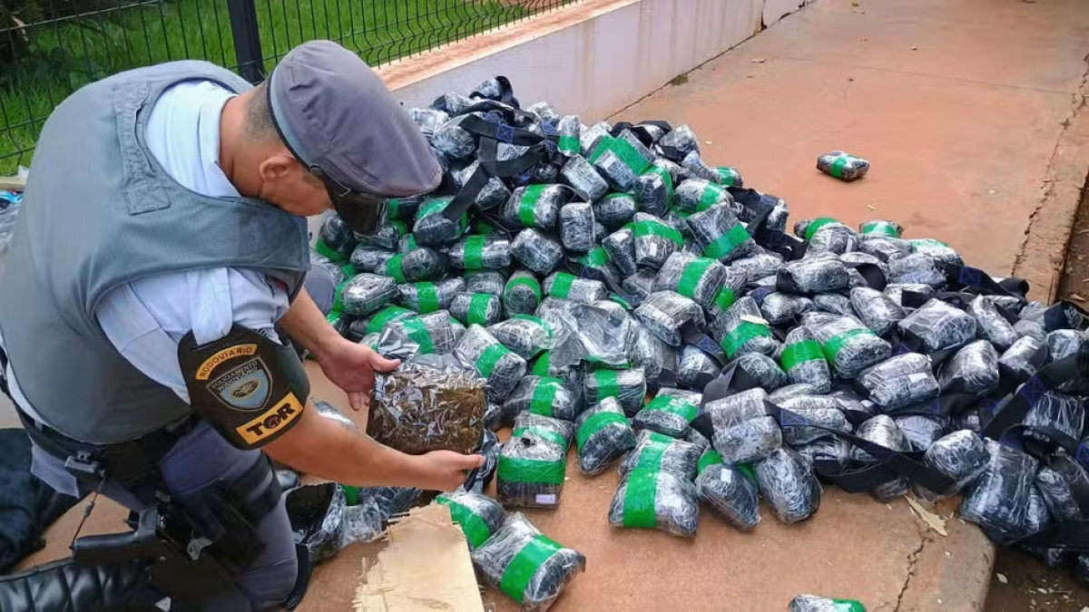 Foto: Polícia Rodoviária/Divulgação